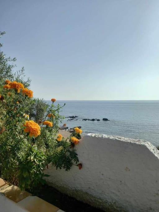 Savvas Paralia Vrachou